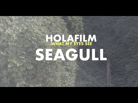 THE SEAGULL | HOLAFILM